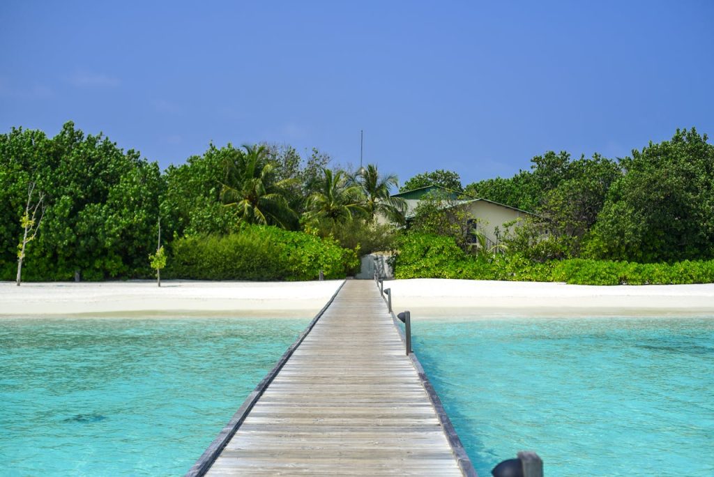 brown-wooden-dock-1450348 Brown Wooden Dock